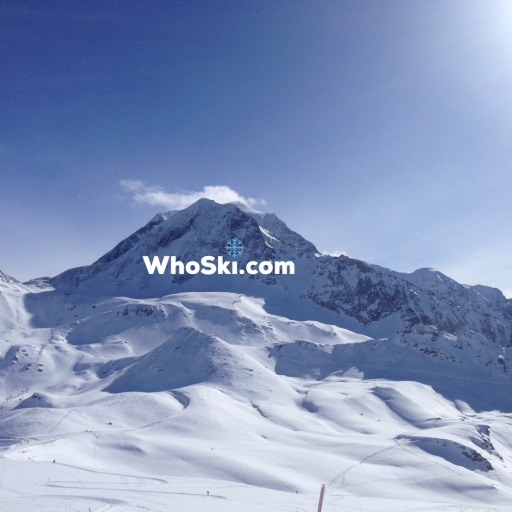 Why your brand should be on WhoSki